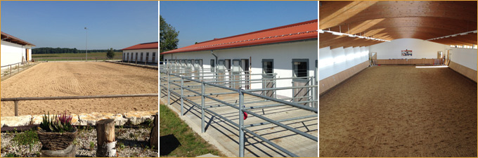 Die Anlage des Reiterhof Hartinger