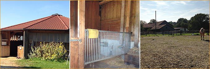 Alter Stall - Reiterhof Hartinger